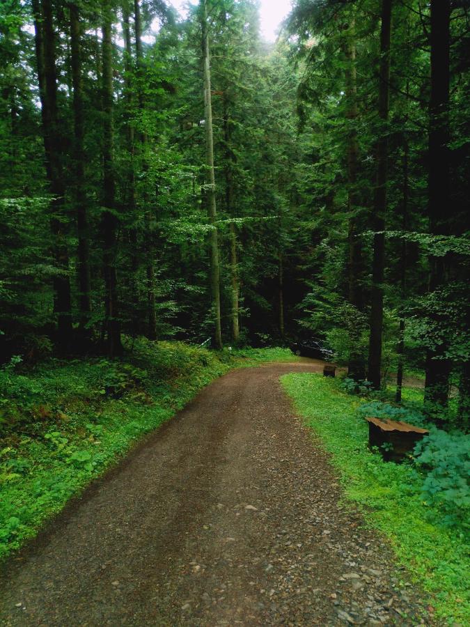 Domek Na Gorce Bieszczady Lesko Eksteriør bilde