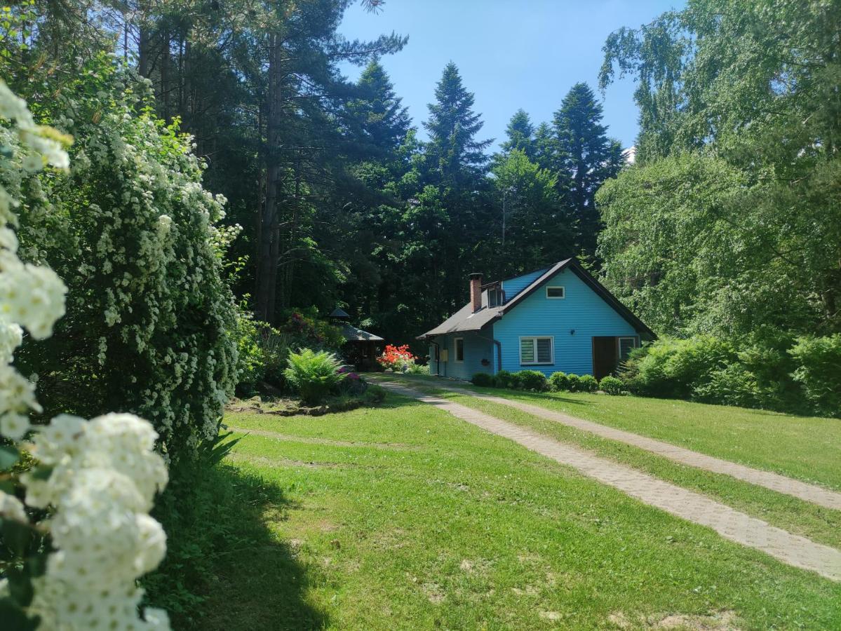 Domek Na Gorce Bieszczady Lesko Eksteriør bilde